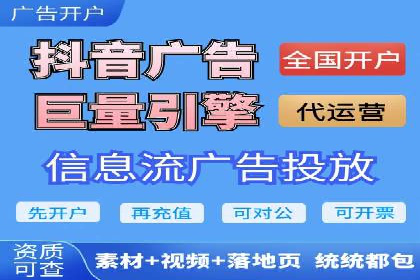 竞价广告的投放策略与效果评估——以一成功企业为例